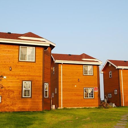Sweetsalt Villa Seogwipo Exterior photo